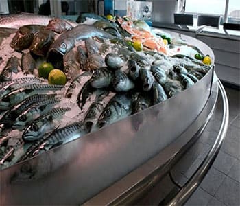 Fish Display Counter Manufacturers in Chennai